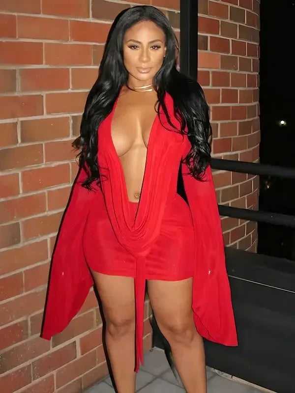 Mesh Flare Sleeve Dress